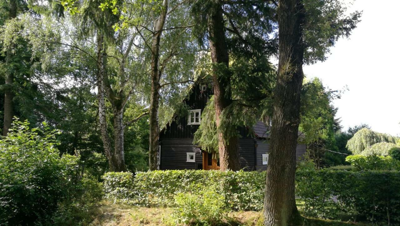 Villa "Haus Am Knobben" Uslar Esterno foto