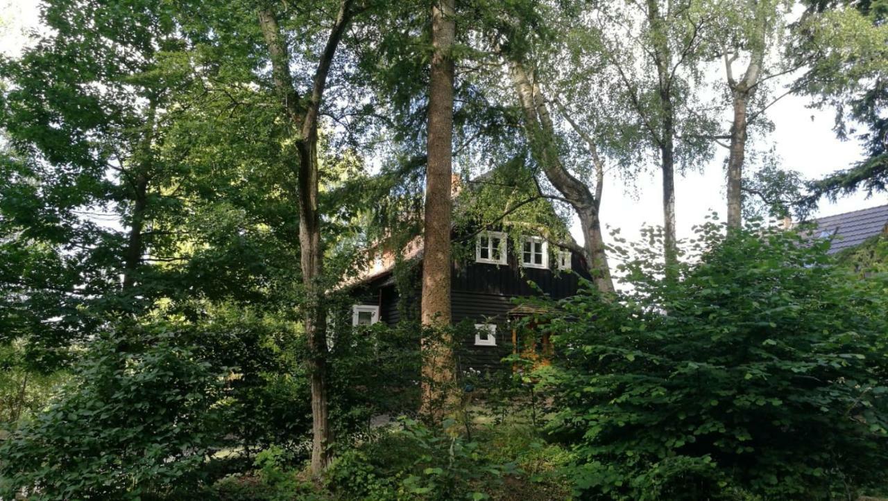 Villa "Haus Am Knobben" Uslar Esterno foto